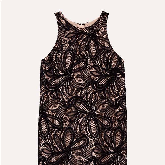 Aritzia Babaton Henry Dress - Picture 5 of 6